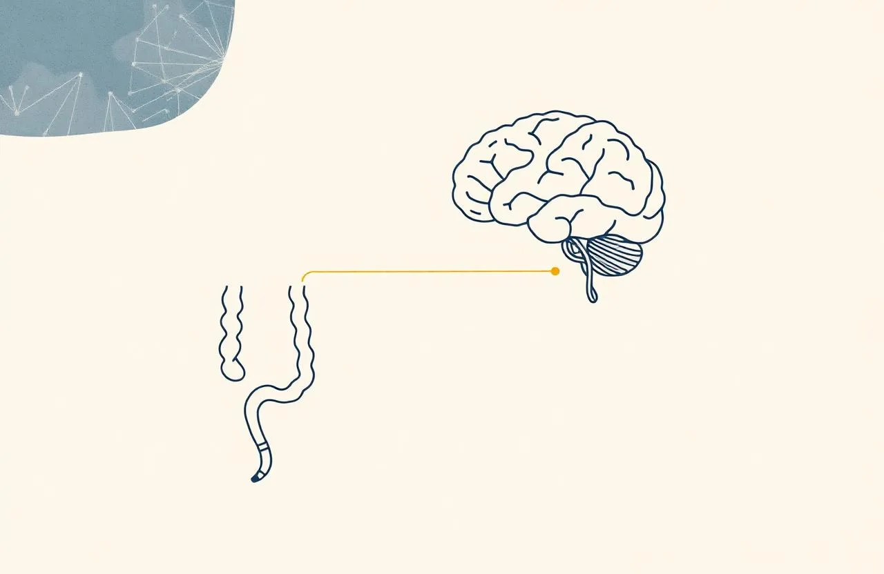 Colon irritabile: perché la dieta da sola spesso non basta